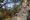 panoramaweg