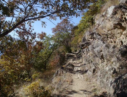 Sentiero panoramico del Monte Sole