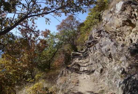 Sonnenberger Panoramaweg