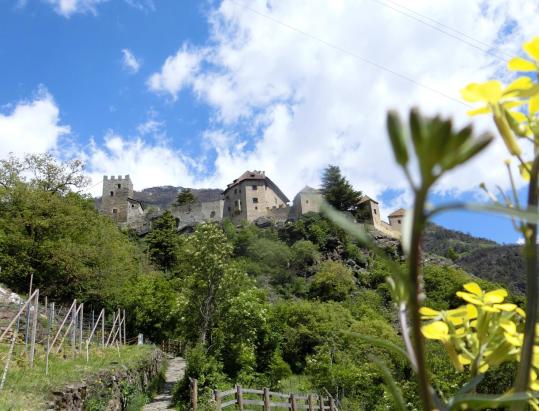 The Irrigation Channel Paths on the Monte Sole with Juval Castle
