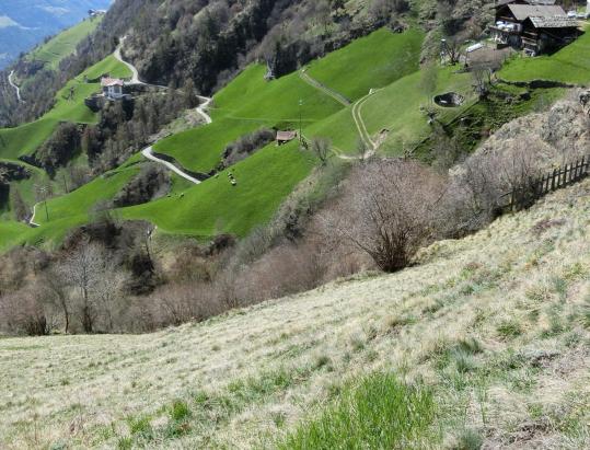 Steppenvegetation und Trockenrasen: der Sonnenberg