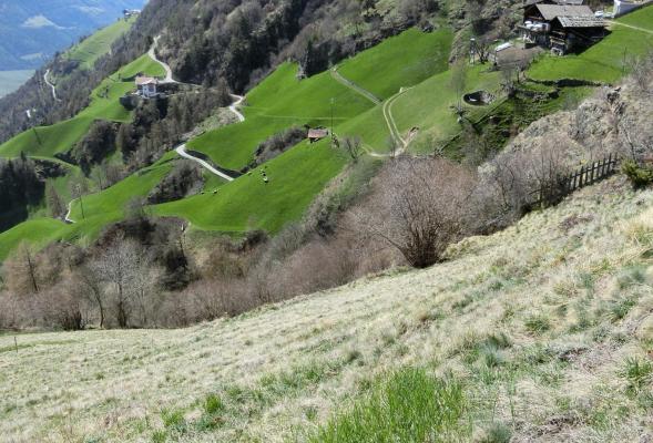 Steppa e prati aridi: il Monte Sole