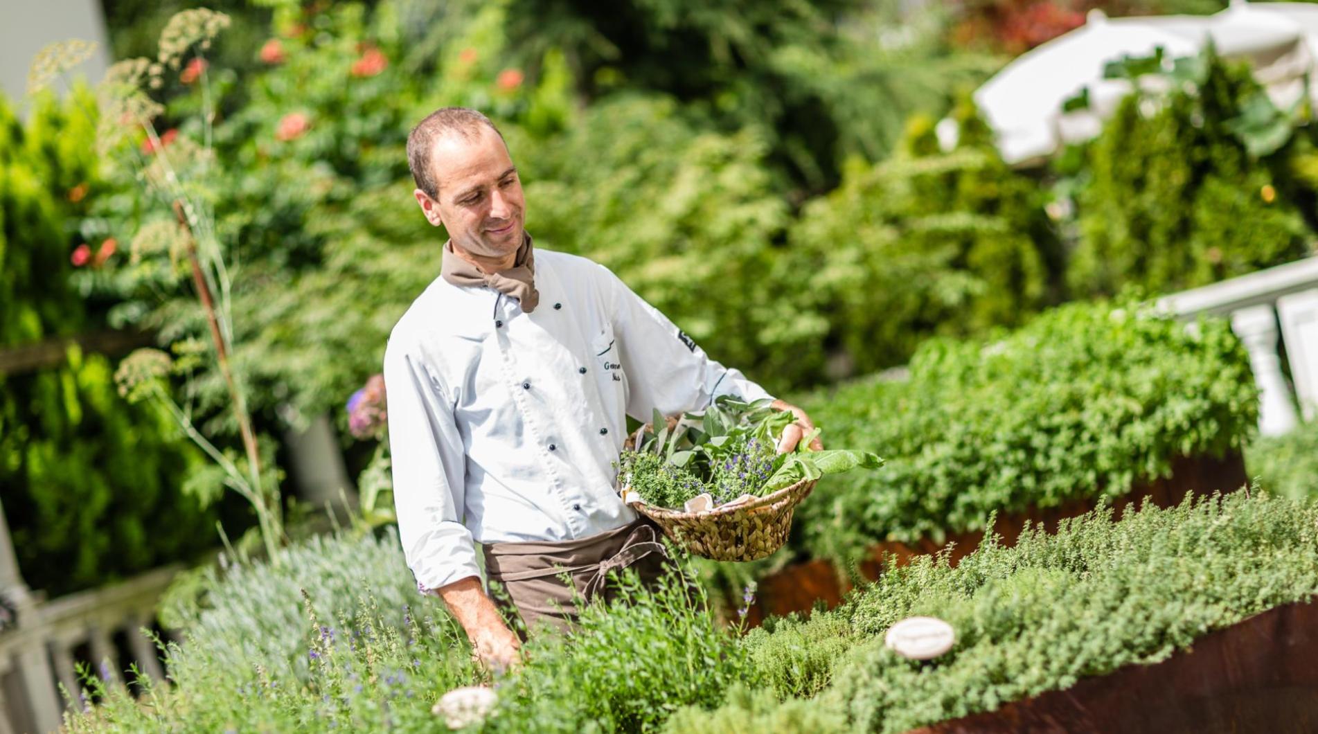 Unser Kräutergarten