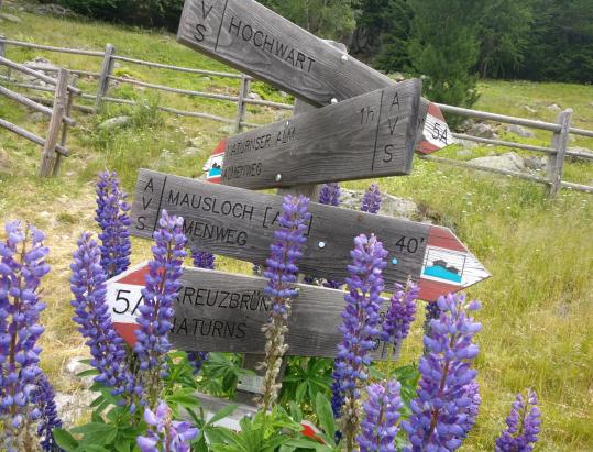 Romantico giro delle malghe sulla Monte Tramontana