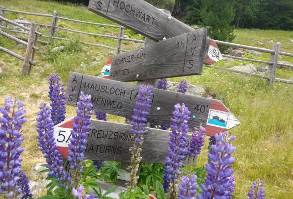 Romantico giro delle malghe sulla Monte Tramontana