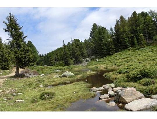 Malga di Naturno e altopiano panoramico Monte san Vigilio