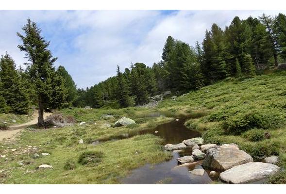 Malga di Naturno e altopiano panoramico Monte san Vigilio